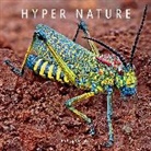 Philippe Martin, Martin Philippe - Hyper Nature