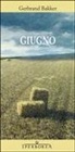 Gerbrand Bakker - Giugno