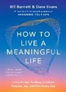 Bill Burnett, Burnett Bill, Dave Evans, Evans Dave - How to Live a Meaningful Life