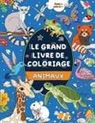FairyWren Publishing - Le Grand Livre de Coloriage