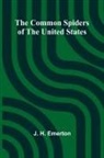 J. H. Emerton - The Common Spiders Of The United States