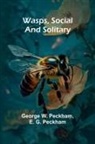 George W. Peckham and E. G. Peckham - Wasps, Social And Solitary