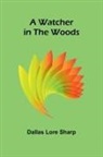 Dallas Lore Sharp - A Watcher In The Woods