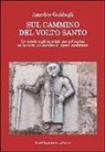Amedeo Guidugli - Sul cammino del volto santo. Le strade e gli ospedali per pellegrini nella valle del Serchio in epoca medievale
