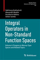 Vakhtang Kokilashvili, Alexander Meskhi, Rafeiro, Humberto Rafeiro, Stefan Samko - Integral Operators in Non-Standard Function Spaces