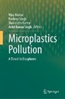 Shailendra Kumar, Vijay Kumar, Shailendra Kumar et al, Ankit Kumar Singh, Pardeep Singh - Microplastics Pollution