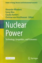 Fanny Böse, Christian von Hirschhausen, Claudia Kemfert, Claudia Kemfert et al, Christian von Hirschhausen, Alexander Wimmers - Nuclear Power
