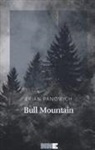 Brian Panowich - Bull Mountain