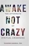 Sukhendu Mandal - Awake Not Crazy - The Aftermath of Spiritual Awakening