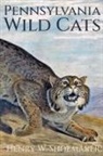 Henry W Shoemaker - Pennsylvania Wild Cats