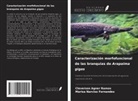 Cleverson Agner Ramos, Marisa Narciso Fernandes - Caracterización morfofuncional de las branquias de Arapaima gigas
