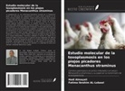 Hadi Almayali, Fatima Ibrahim AL-Lebawi - Estudio molecular de la toxoplasmosis en los piojos picadores Menacanthus straminus