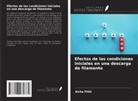 Aicha Flitti - Efectos de las condiciones iniciales en una descarga de filamento