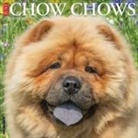 Willow Creek Press - Chow Chows 2026 12 X 12 Wall Calendar