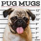 Willow Creek Press - Pug Mugs 2026 12 X 12 Wall Calendar