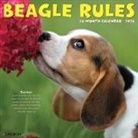 Willow Creek Press - Beagle Rules 2026 12 X 12 Wall Calendar