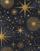 Willow Creek Press - Starry Night 2026 7.5 X 9.5 Booklet Monthly Planner
