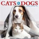 Willow Creek Press - Cats & Dogs 2026 12 X 12 Wall Calendar
