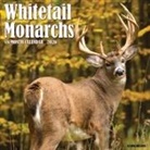 Willow Creek Press - Whitetail Monarchs (Deer) 2026 12 X 12 Wall Calendar