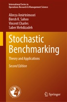Alireza Amirteimoori, Vin Charles, Vincent Charles, Saber Mehdizadeh, Biresh K Sahoo, Biresh K. Sahoo - Stochastic Benchmarking