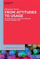 Eleonora Serra - From Attitudes to Usage