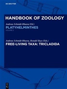 Andreas Schmidt-Rhaesa, Sluys, Ronald Sluys - Handbook of Zoology. Platyhelminthes - Volume 2: Platyhelminthes