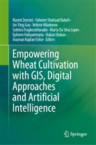 Faheem Shahzad Baloch, Marta Da Silva Lopes, Sotirios Fragkostefanakis, Jin-Ying Gou, Jin-Ying Gou et al, Ephrem Habyarimana... - Empowering Wheat Cultivation with GIS, Digital Approaches and Artificial Intelligence