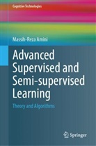 Massih-Reza Amini - Advanced Supervised and Semi-supervised Learning