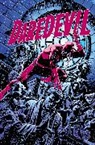 Ron Garney, Roger Mckenzie, Charles Soule, Soule Charles, Goran Sudzuka, Garney Ron... - Daredevil: The Dark Art