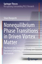 Shun Maegochi - Nonequilibrium Phase Transitions in Driven Vortex Matter