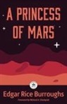 Edgar Rice Burroughs, Jared Nelson - A Princess of Mars