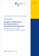 Claudia Schymik - Konflikte im Betriebsrat: Ein blinder Fleck im Betriebsverfassungsgesetz?
