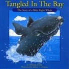 Deborah Tobin, Jeffrey Domm - Tangled in the Bay