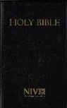 NIV Pew Bible - Blk 124049