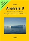 Beat Eicke - Analysis B - Folgen, Grenzwerte, Reihen, Stetigkeit
