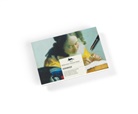 Pepin Van Roojen - Vermeer