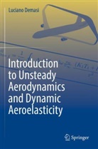 Luciano Demasi - Introduction to Unsteady Aerodynamics and Dynamic Aeroelasticity
