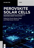 Dilip Kumar Dwivedi, Kumar Dwivedi, Pravin Kumar Singh, Pravin Kumar Singh - Perovskite Solar Cells