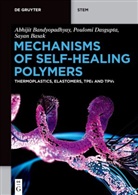 Abhijit Bandyopadhyay, Sa Basak, Sayan Basak, Poulomi Dasgupta - Mechanisms of Self-Healing Polymers