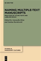 Antonella Brita, Janina Karolewski - Naming Multiple-text Manuscripts