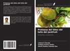 Indranil Chanda, Smriti Rekha Chanda Das, Sadhan Kumar Dutta - Proteasa del látex del tallo del jackfruit