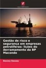 Bassey Bassey - Gestão de risco e segurança em empresas petrolíferas: lições do derramamento da BP Macondo