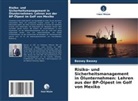 Bassey Bassey - Risiko- und Sicherheitsmanagement in Ölunternehmen: Lehren aus der BP-Ölpest im Golf von Mexiko