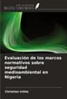 Christian Ichite - Evaluación de los marcos normativos sobre seguridad medioambiental en Nigeria