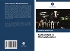 Sandeep Kumar Jain - Kuhkomfort in Milchviehställen