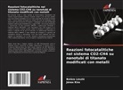 János Kiss, Balázs László - Reazioni fotocatalitiche nel sistema CO2-CH4 su nanotubi di titanato modificati con metalli