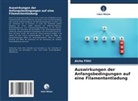 Aicha Flitti - Auswirkungen der Anfangsbedingungen auf eine Filamententladung