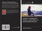Hanaa Kareem Ali - Anatomía e histología del tiroides, la paratiroides y el ultimobranquial del pavo