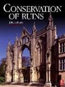 John Ashurst, Ashurst John - Conservation of Ruins