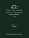 Franz Liszt, Otto Taubmann - Ce qu'on entend sur la montagne, S.95